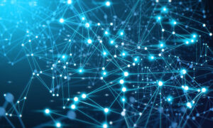 Network Nedir? Network Nedir?